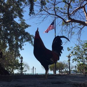 Meet your Posher, Yamira